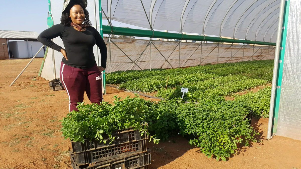 MadewithRural_'s tweet photo. #ThrowbackThursday Our youngest farmer Jennifer ❤ 22 years old with B-Tech in Plant Production #MadeWithRural #Agriculture #KnowYourFarmer https://t.co/Co6I88kYLk