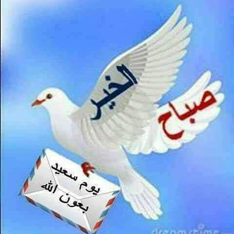 عادل الشوني tweet media