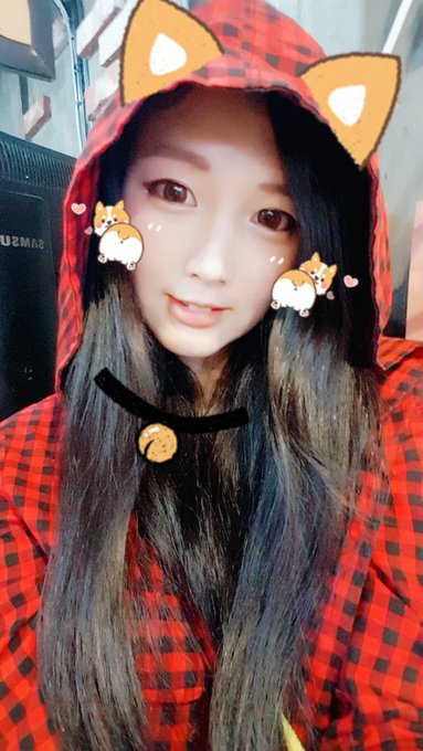 コスプレイヤー[spiralcats]도레미のTwitter画像2