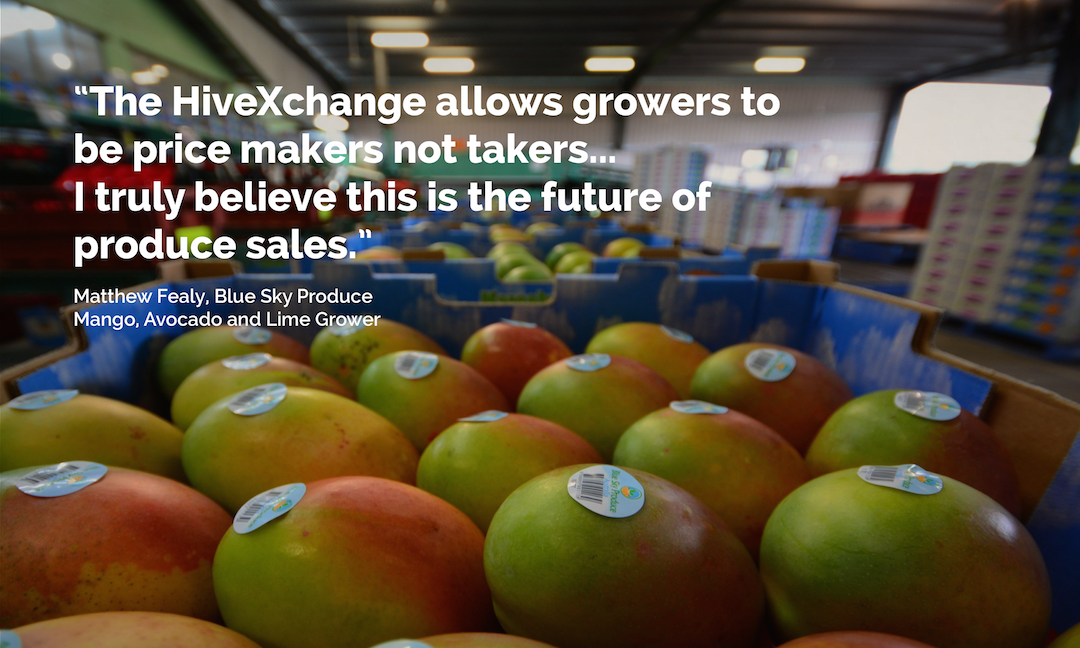 HiveXchange's tweet photo. #Mangoes are in high demand on the HiveXchange, register now & sell to a national marketplace of buyers #pricemaker https://t.co/FHGsTNFY2N https://t.co/3K0g5UqF3M