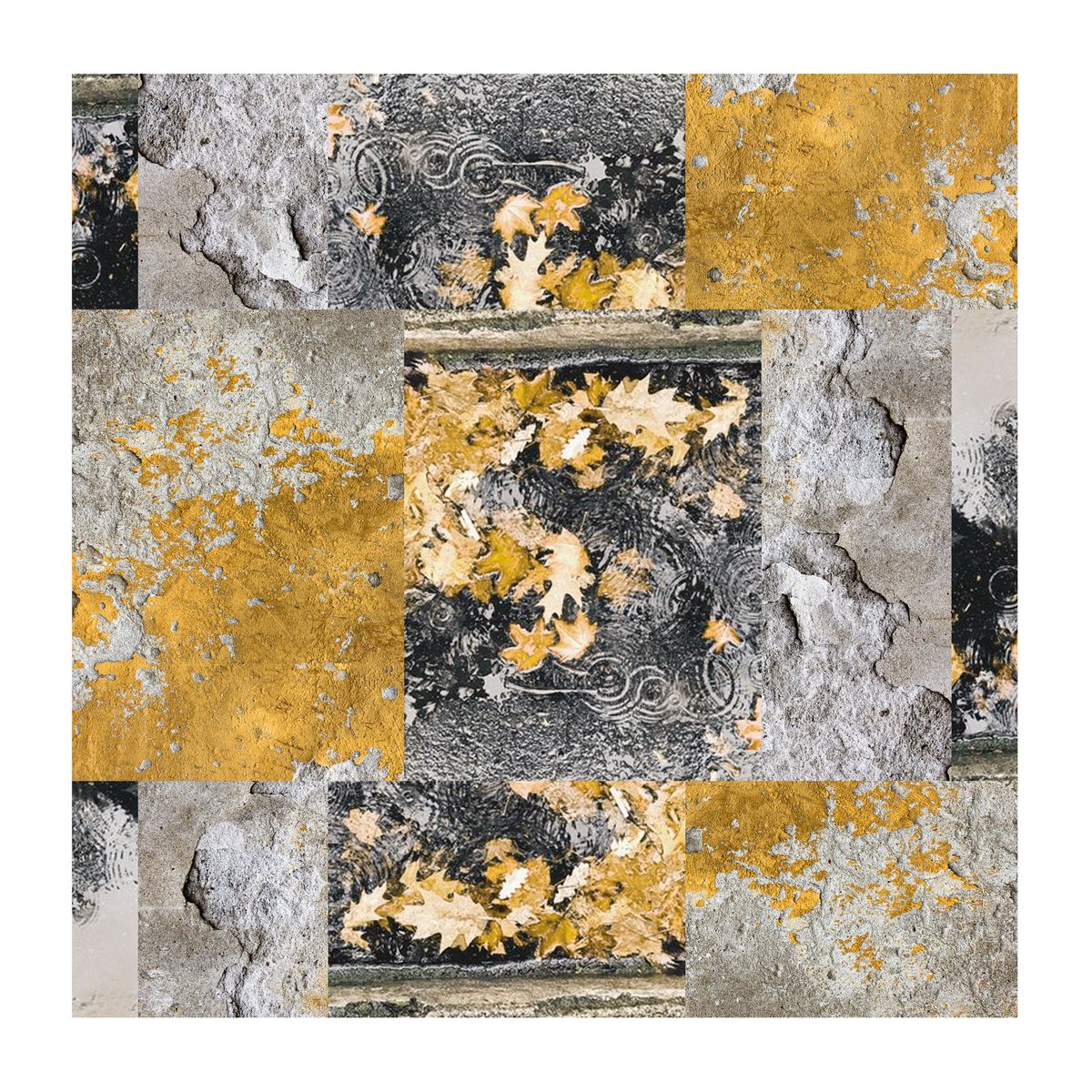 chiara tomati tweet media