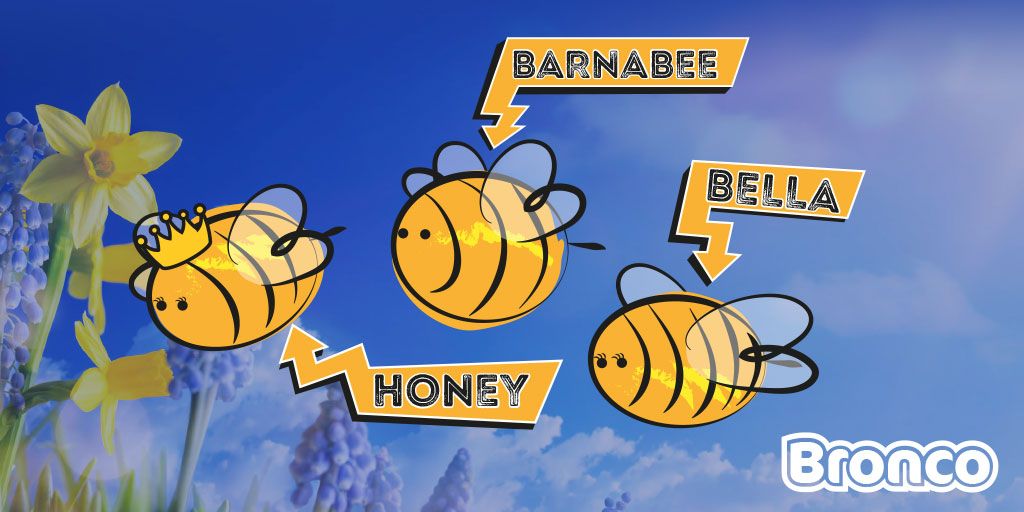 Bronco's tweet photo. We're buzzing about our bees finally getting names: Our Queen bee Honey her drone bee Bert and her worker bee Bella 🐝 @BeesforBusiness #csr https://t.co/wto42q1ZRc
