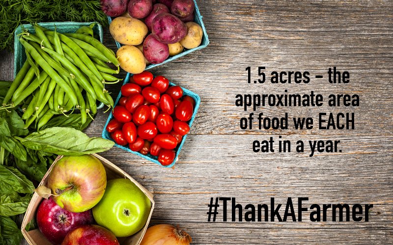 Today’s #farmer grows twice as much food as the generationbefore them – using less land, energy, water and fewer emissions. On
#NationalFarmersDay we salute their hardworking efforts every day to feed a growing population. #ThankaFarmer