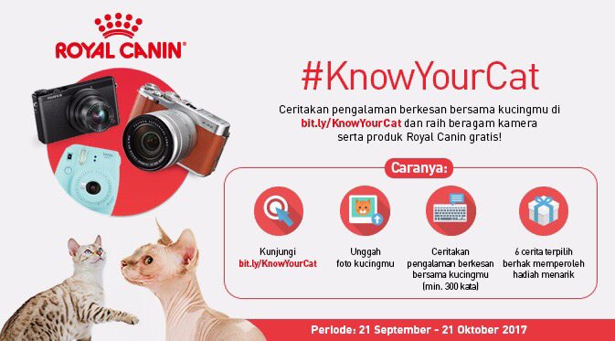 saraswatiindah's tweet photo. #KnowYourCat https://t.co/xNEpvB1yOr