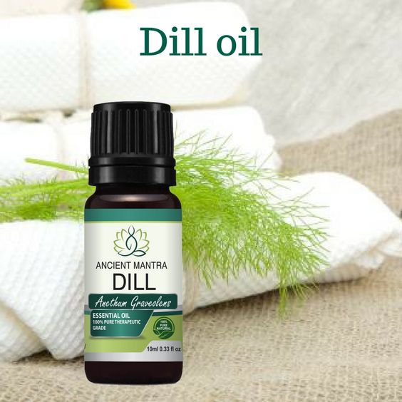 "Dill essential oil refreshes and soothes, and is an excellent option for use in the bath or shower.
#AncientMantraNaturals #BedTimeTrick