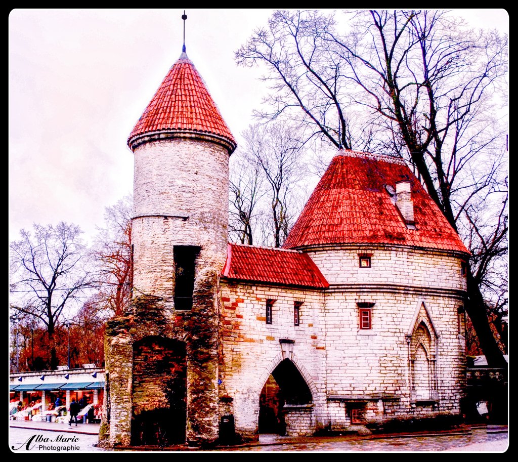 AlbaMarie8's tweet photo. #Medieval facades with advanced digital #techosphere below the surface, meet #Tallinn… https://t.co/PkH7HGhsfW https://t.co/yp4zrTv3Nn