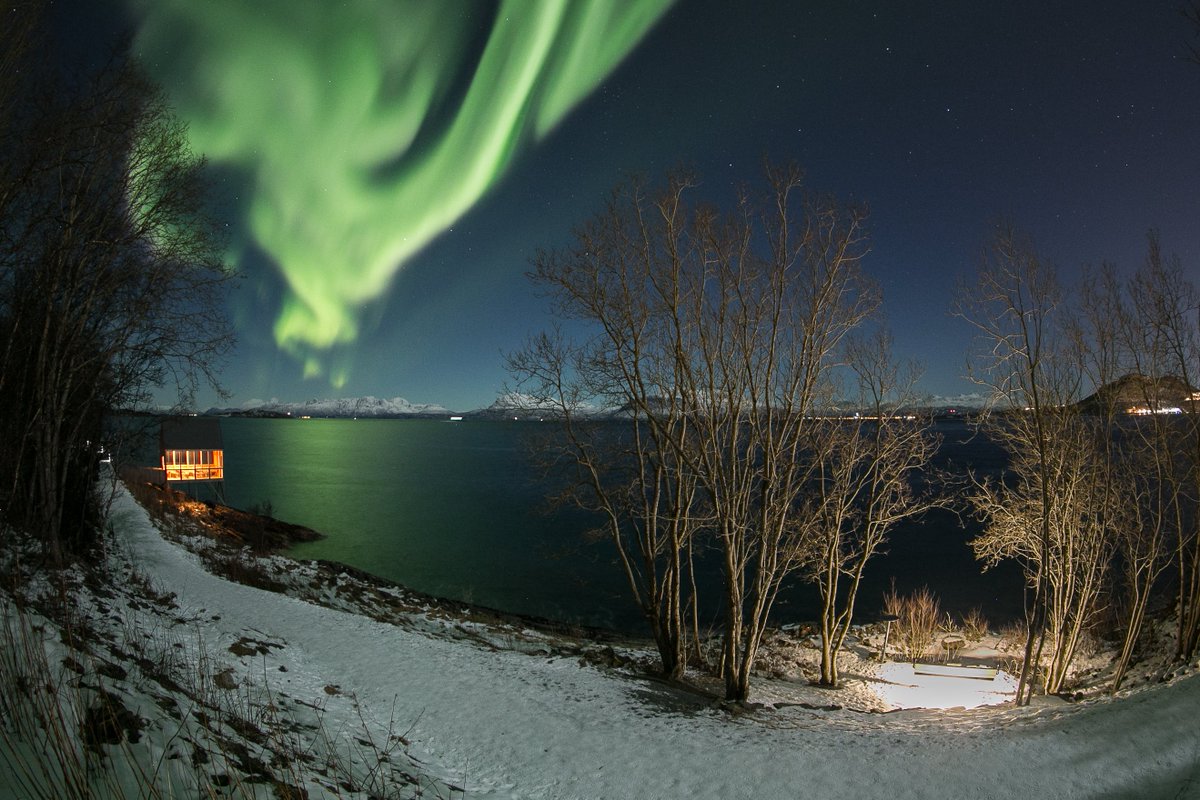 DestinationPost's tweet photo. #Visitharstad #Harstad #Nordlys #Auroraborealis #stienlangssjøenFoto: Knut Ingebrigtsen https://t.co/PfBkpPY5Fk