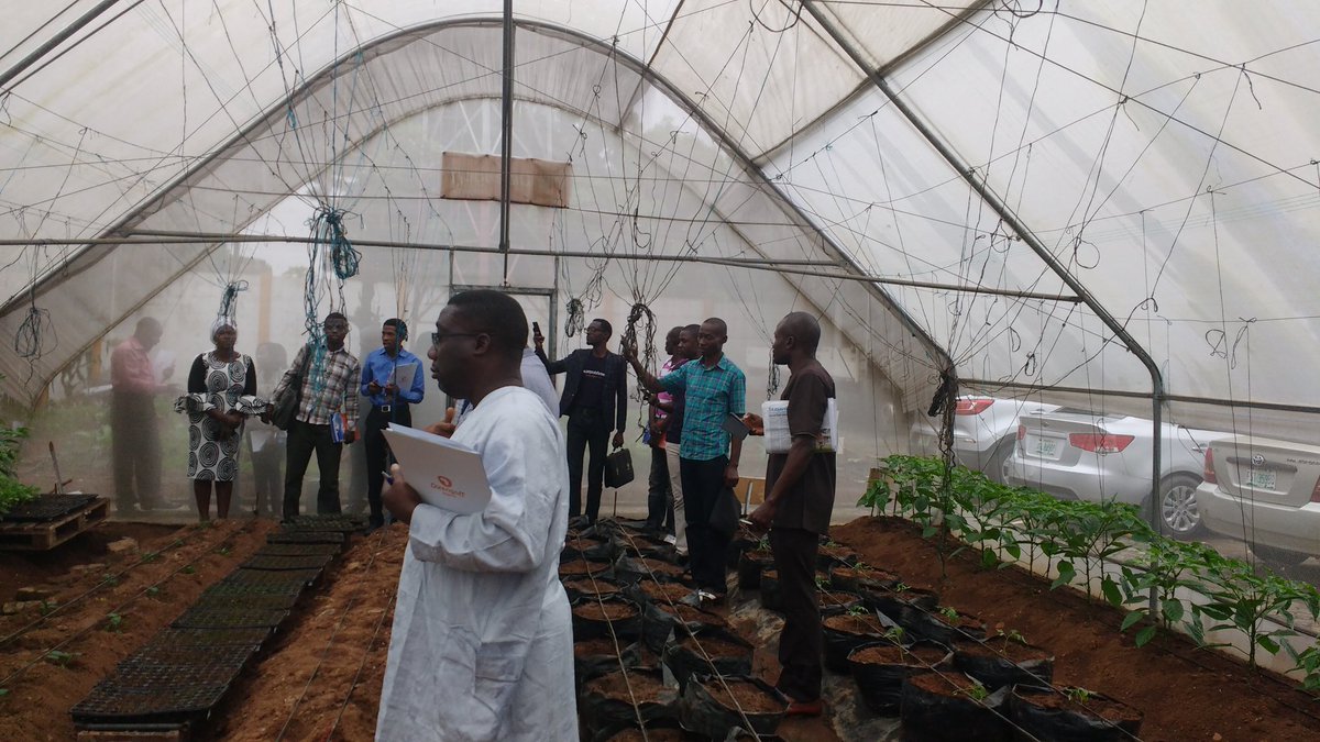 DizengoffNIG's tweet photo. Some of our customers in our Greenhouse.
#CustomerOpenDay 
#DizengoffNIG https://t.co/Pvit8w12qK
