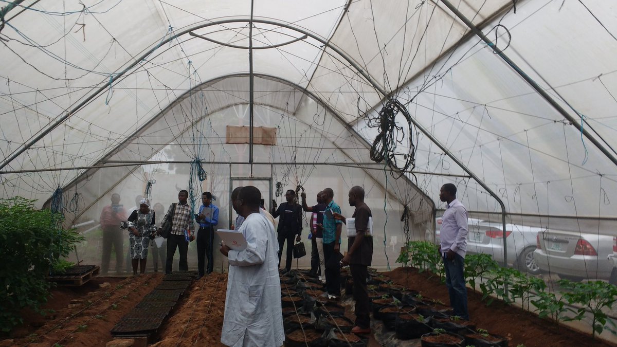 DizengoffNIG's tweet photo. Some of our customers in our Greenhouse.
#CustomerOpenDay 
#DizengoffNIG https://t.co/Pvit8w12qK