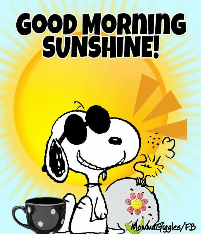 minxM's tweet photo. @EmilyShutt2017 Good morning Emily🙌😘 Have a lovely day, lots of laughter and love! 
#PrincessOfSmiles 👸 https://t.co/GhEUF14Bvu