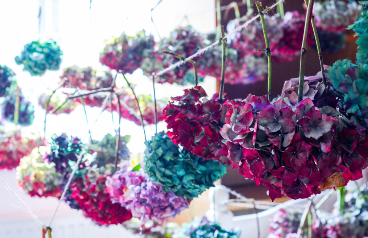 Preparations are well underway for #MCRChristmasMarkets. We're busy drying out hydrangeas to decorate the bars today.