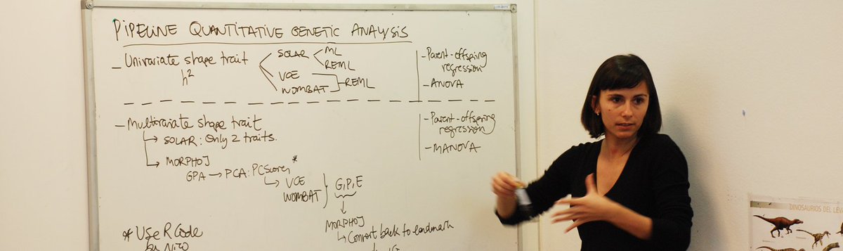 TransmitScience's tweet image. How are genes linking to shape?
#TScourse From Phenotype to Genotype: The #Genetic Basis of Shape
#Learning #Courses
transmittingscience.org/courses/geneti…