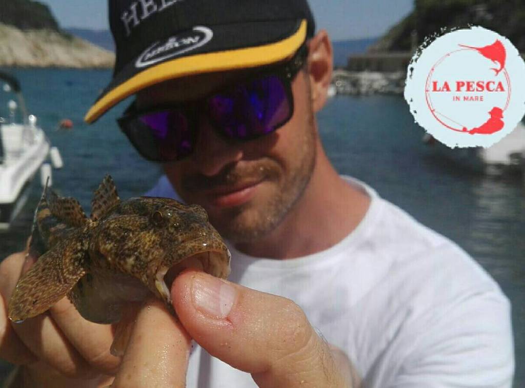 Lapescainmare's tweet photo. Ghiozzo a LRF!!!๐๐๐ฃ๐ @matteodesideri
@lapescainmare #ghiozzo #lrf #carsonfishing #spinning #lightrockfishing #surโฆ https://t.co/KBLypwNzG0 https://t.co/oKozS2VQkl