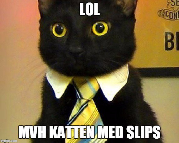 fortov Årligt det tvivler jeg på chrnum on Twitter: "Katta med slips? Der har du en vits. Men katta med  gips? Et særs trist kvad, min venn" / Twitter