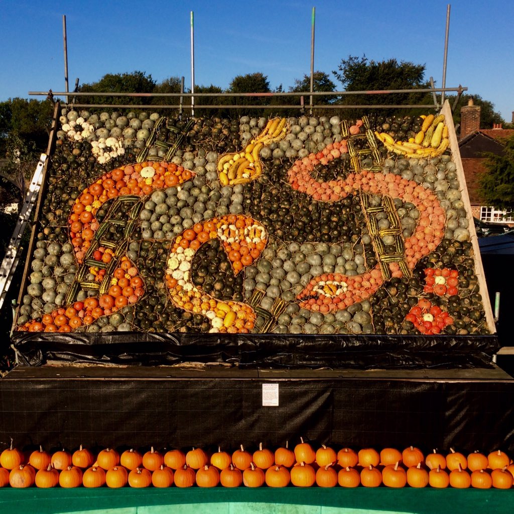 slindonpumpkins's tweet photo. @ReutersUK @reuterspictures 
Since 1968 Slindon has celebrated Pumpkins.
The mural 7mx4m 1500fruits. 10 days to create,artist Mark Ford https://t.co/EgggQaAb6w