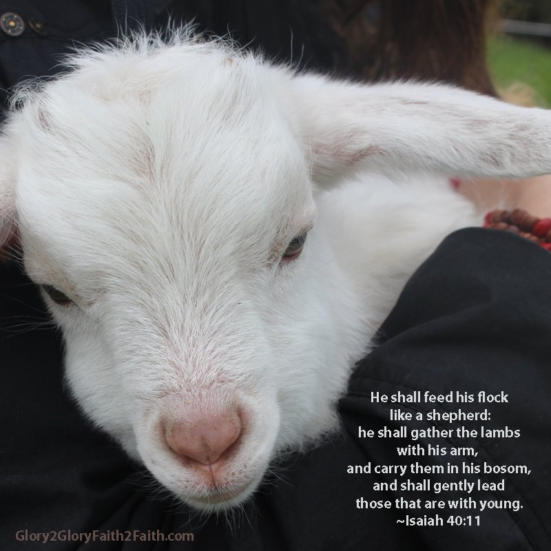 g2gloryf2faith's tweet photo. The Lord is #holding us, #leading us, and #caring for us! #Thegreatcomforter #Hiseverlastingarms #safe #theLord #good https://t.co/NZtmw7MW8y