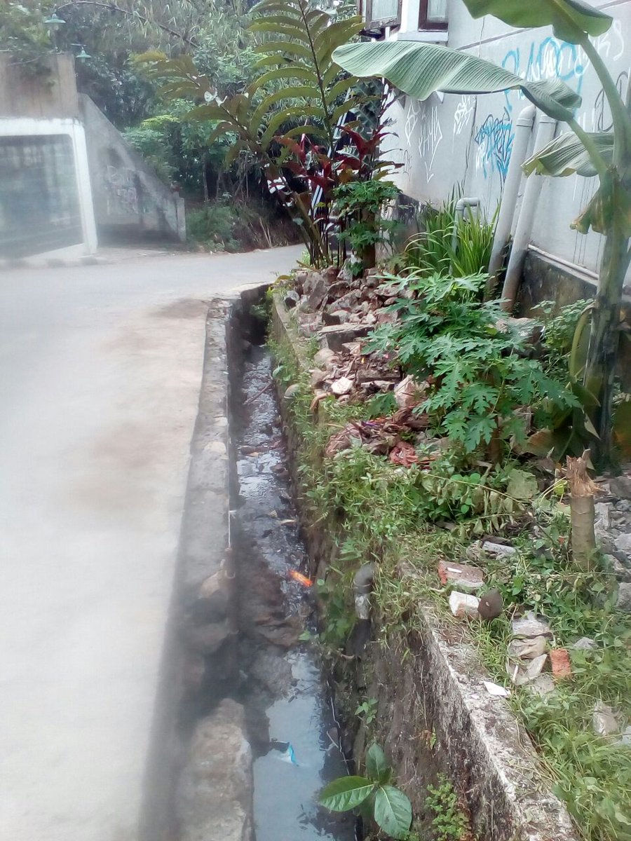 satgas jalan dan jembatan depok tweet media