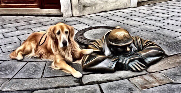 Finally found... by SAR K9🐾🐾