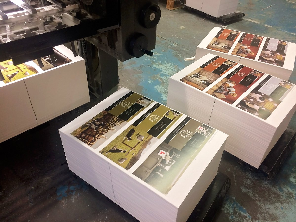 6000 cards printed this morning <a href="/AlvertonPress/">Alverton Press</a> Best sellers ready to go for @YAScountryside and @HHFarmstock agri expo #yorkshire #Local