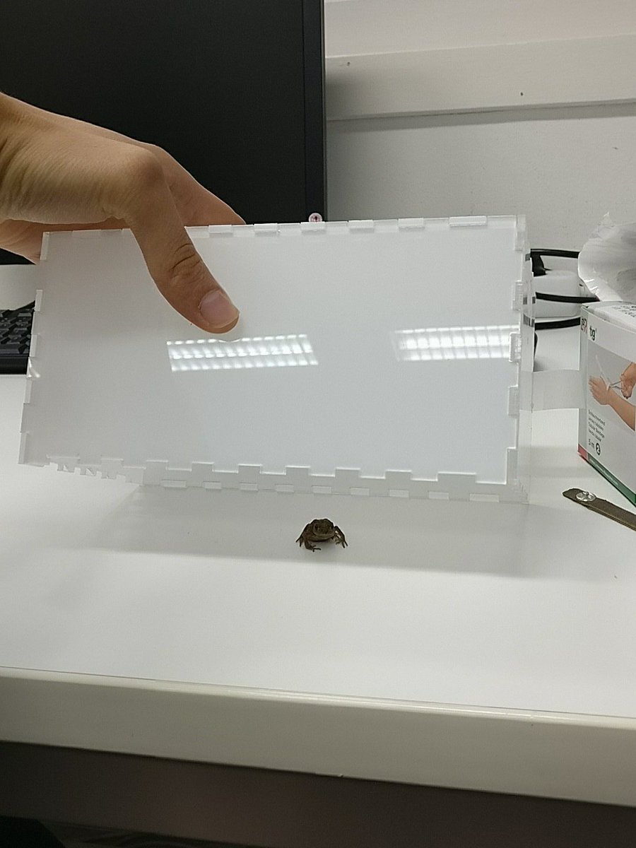 FrederikVreys's tweet photo. And yet another pet!
@BDE bought a zoo https://t.co/WehIyGR2BR