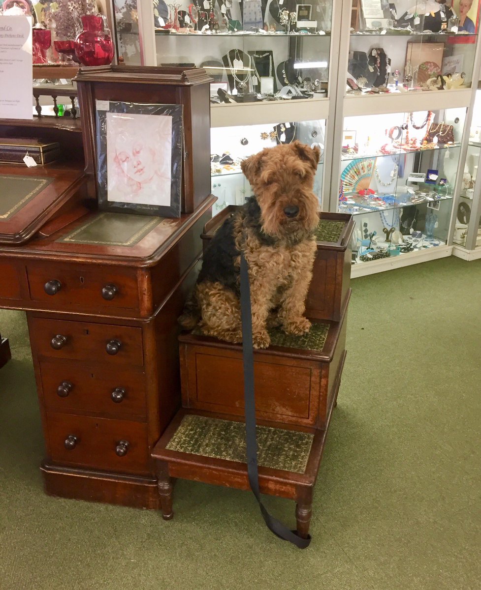 antiquesonhigh's tweet photo. George the IV mahogany bed steps £375.00, Hugo can be negotiated as an optional extra! #oxfordantiquescentre #crafts #bedsteps #GeorgeIV https://t.co/hAwUragFnB