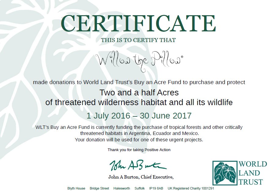 Willow_Talk's tweet photo. If you've bought a Willow, your money has helped save 2.5 acres of rainforest. Thank you so much! It's an honour to support @worldlandtrust. https://t.co/NXloT9w1qd