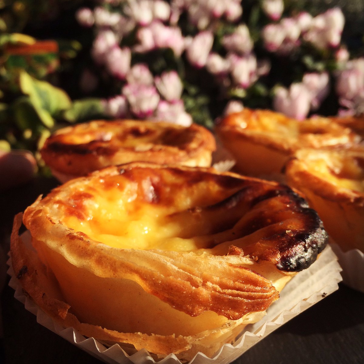 arbour_cafe's tweet photo. Hurry! Nata sold out everyday after the Bake Off on TV #greatbritishbakeoff https://t.co/vVduvz6J3r