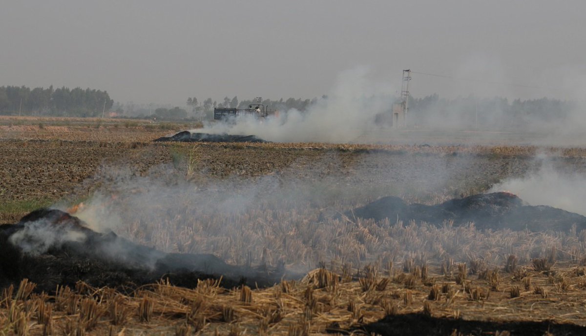 down2earthindia's tweet photo. #Pollution scare back in #Delhi as neighbours fail to prevent crop residue burning https://t.co/qqqHfTezZp #Punjab #Haryana https://t.co/F4oNkUCCsj