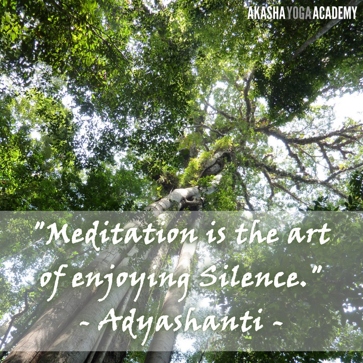 AkashaAcademy's tweet photo. QUOTE OF THE WEEK
https://t.co/nv1o4oX1B3

"Meditation is the art of enjoying Si... https://t.co/1SwHJvOOR1 https://t.co/PIf27I4Nir