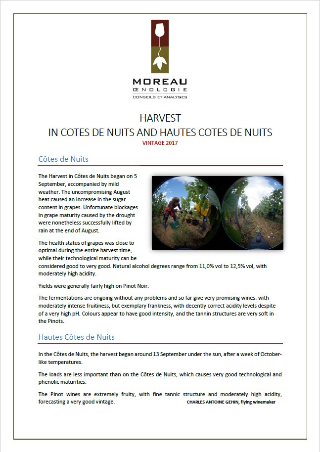 MOConseils's tweet photo. #vendanges #Bourgogne Petit résumé des vendanges en Cote de Nuits proposé par notre œnologue-conseil Charles-Antoine Géhin https://t.co/MDg6rtg7zm