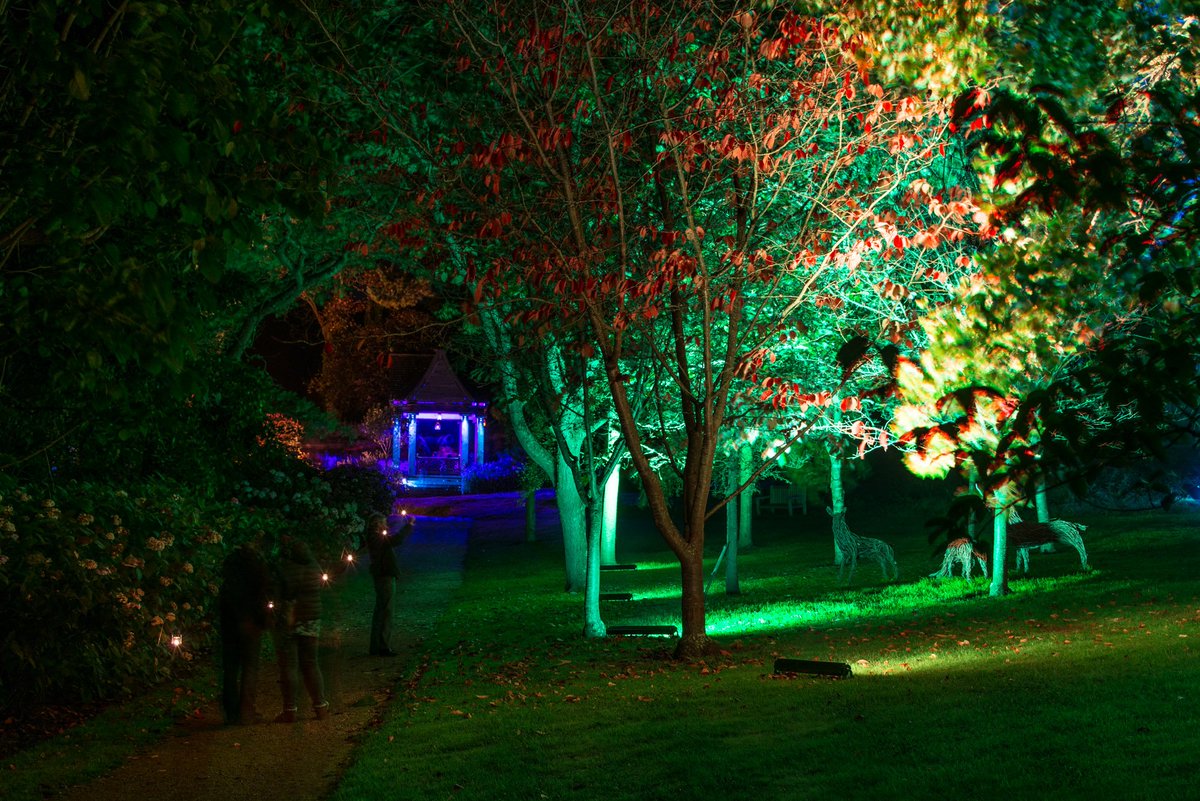 Abbotsbury Gardens tweet media