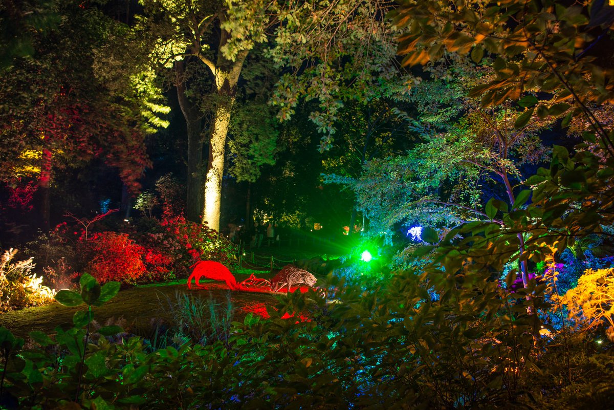 Abbotsbury Gardens tweet media