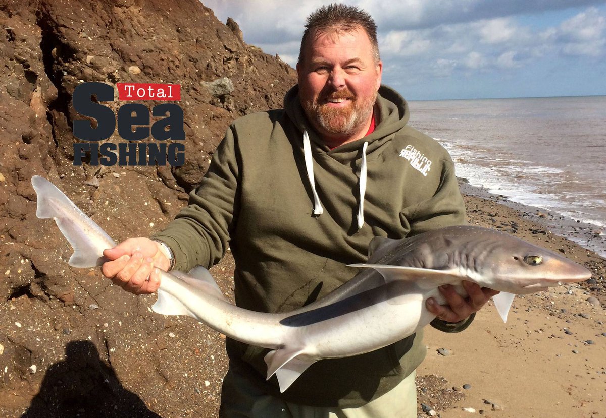Total Sea Fishing tweet media