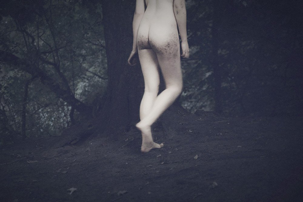 El Nido de Anneke tweet media