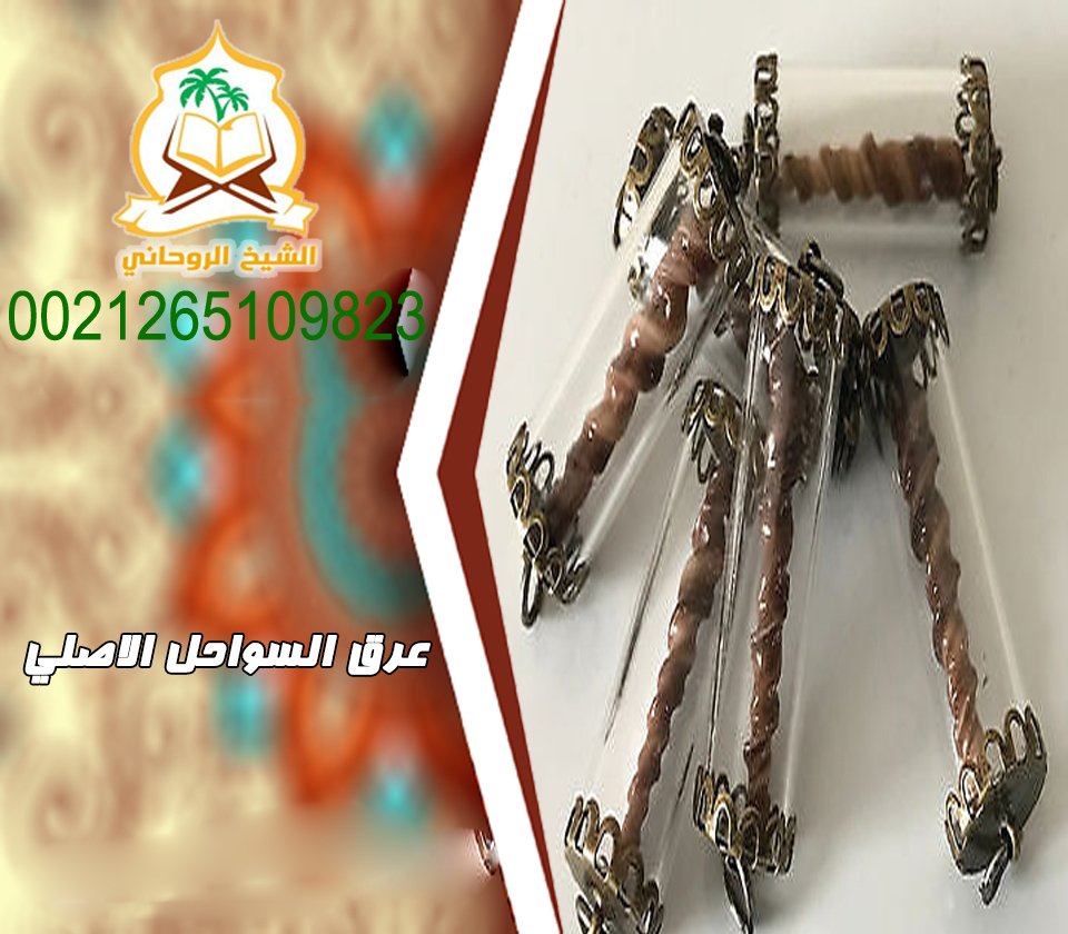 جلب الحبيب -ذو الهمة tweet media