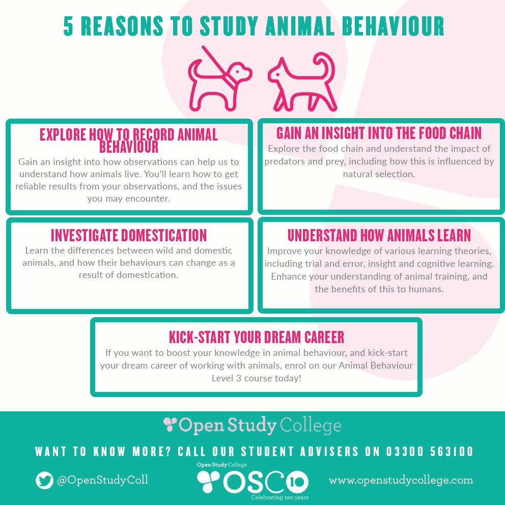 Uživatel Open Study College na Twitteru: „Do you want to boost your  knowledge about animal behaviour? Then enrol on our Level 3 course today!  Here's 5 reasons why you should: /pkp4ldb9Un“ /