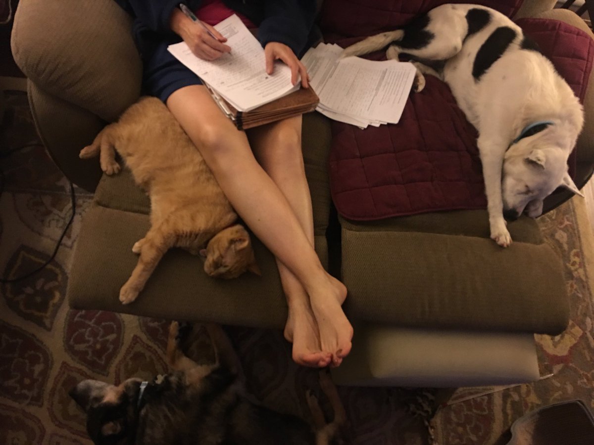 MxCCEnvSci's tweet photo. Grading #NatDis exams on the couch with my boys! https://t.co/bP1GpKIhFo