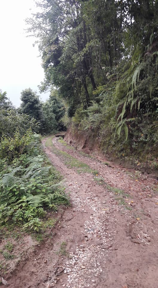 StandForBhutan's tweet photo. Respected PM @tsheringtobgay Please look at the condition of these roads of Drubdra Lhakhang at Radhi .
#BhutanFirst #Bhutan https://t.co/LZNfPsQU68