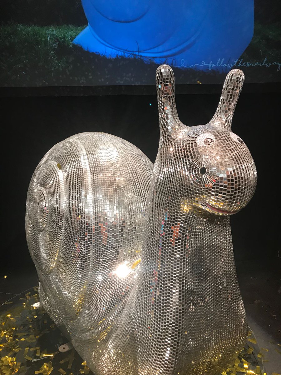 shaunbythesea's tweet photo. That's right - we're saying #BeMoreSnail! Who wouldn't want to be more like this little guy?! https://t.co/RflMiwSZh7