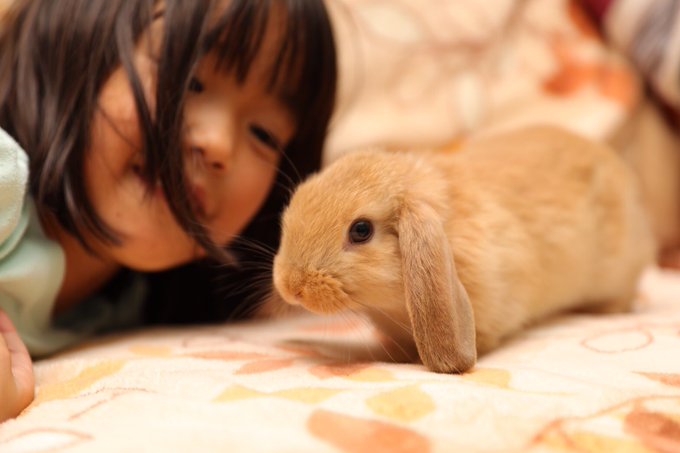 Twitterのコスプレ画像28