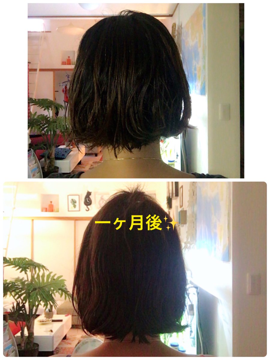 ট ইট র Aya S ダイエット塾 髪の毛早く伸ばしたくて久しぶりにヘアアクセルレーター使用 一ヶ月後でまあまあかな ヘアアクセルレーター 髪伸ばしたい