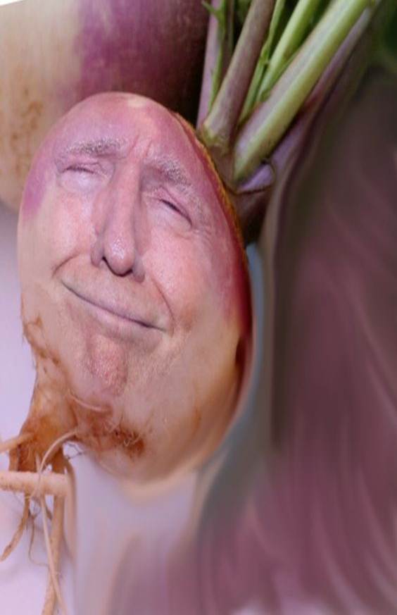 SteMcKenna's tweet photo. @pitchblacksteed Don't know about you, but every time I see the word 'Turnip' I think of Trump. And vice versa! #TurnipThursday #BaldrickWeek #DonaldTurnip https://t.co/eoTd90B93R