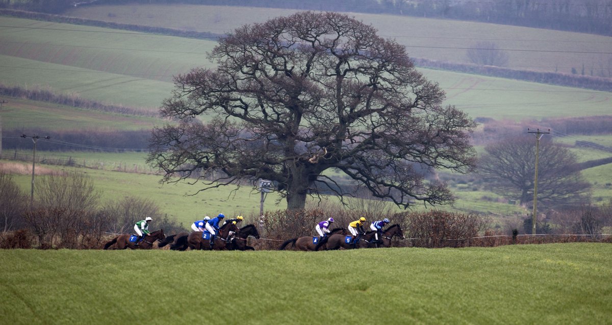 Irish point-to-point experts <a href="/EoghainWard/">Eoghain Ward</a> and <a href="/pughp2p/">Richard Pugh</a> give you 12 names to note for the new season... a-t-r.com/2yFWsN8