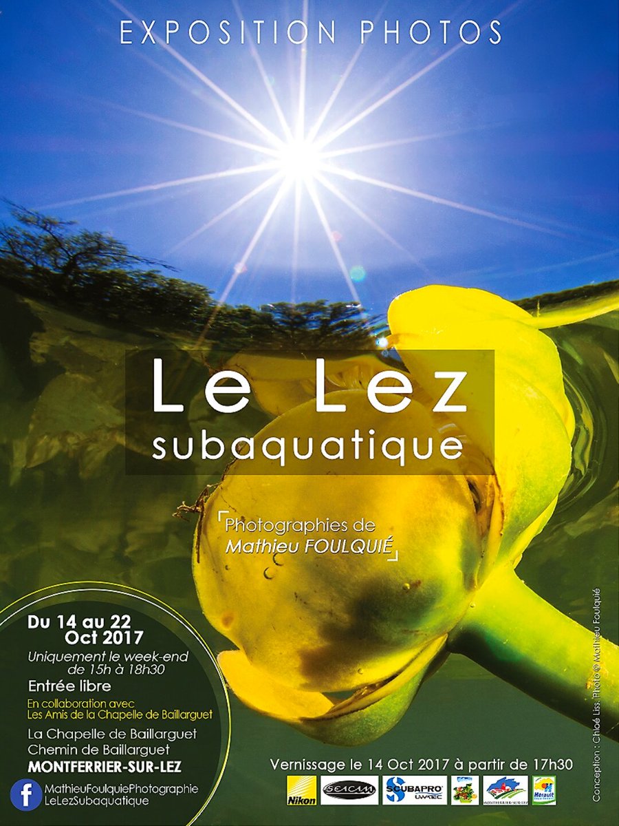 Le Lez Subaquatique tweet media