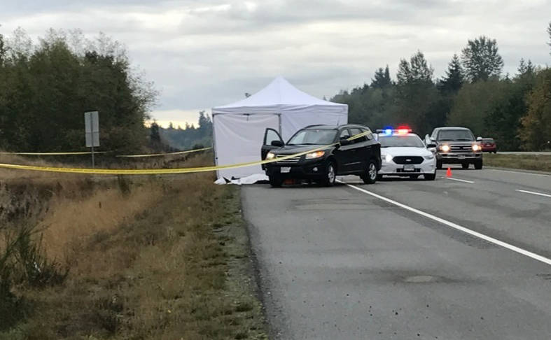 ParksvilleNews's tweet image. Dead body found on Highway 19 near Qualicum Beach dlvr.it/Pv78V6