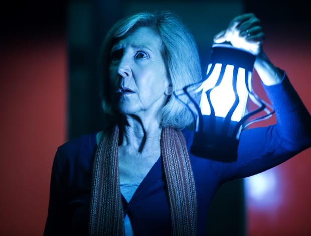    We wish a very happy birthday to the amazing Lin Shaye! ¡Feliz cumpleaños 