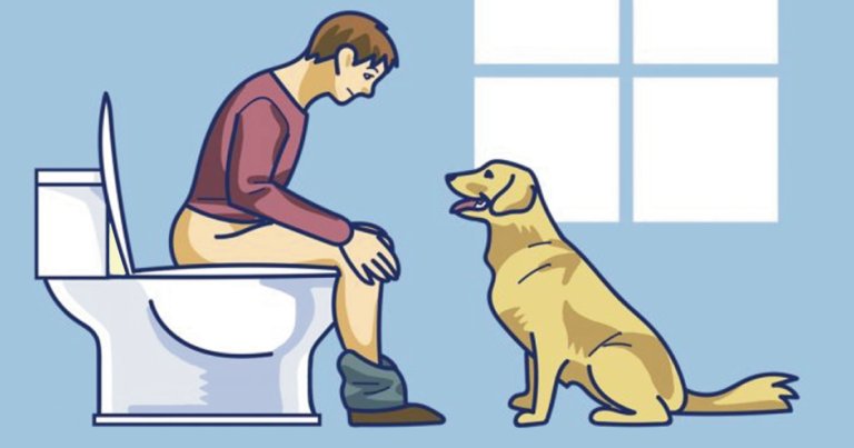 ViajandoWaldo's tweet photo. ¿Te sigue siempre tu perro al baño?… Esto es lo que intenta decirte: https://t.co/2if8gY3MFF https://t.co/v22sMXjB5d