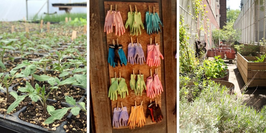 FarmtoSchool's tweet image. A4: #Schoolgardens are interdisciplinary classrooms that welcome ALL students, regardless of age or ability #FarmtoSchool101