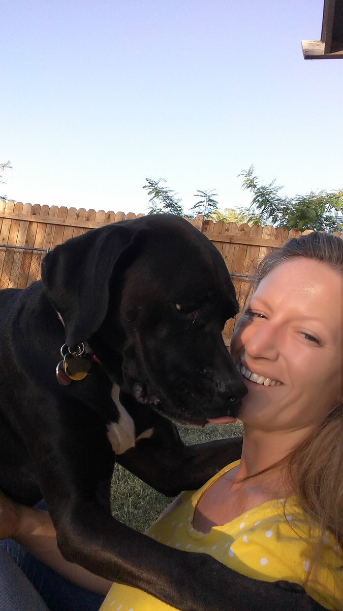 alexandrabird13's tweet photo. Glorious Gwen getting playtime with the mama! 💛 my golden girl!
#FaceBark #RescueDogsRock https://t.co/K5VtPmpnmF