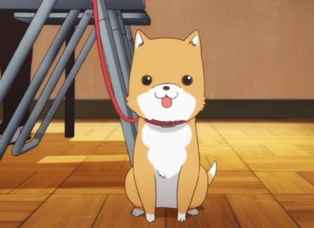 九里桜 きゅーりん בטוויטר アニメで印象に残っている犬 太郎丸ー がっこうぐらし